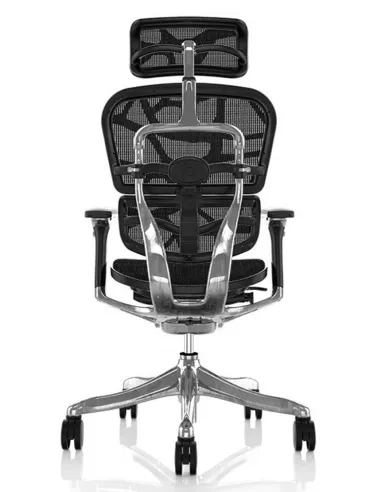 Кресло ERGOHUMAN PLUS LUXURY (EHPL-AB-HAM) компьютерное