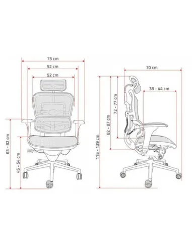 Кресло Ergohuman Plus Luxury (EHPL-AB-HAM) - Купить компьютерное анатомическое кресло для руководителя, черного цвета. Цена в Ки