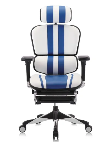 Кресло компьютерное ERGOHUMAN ELITE GAMING MARS (M-EHPE-AB-HAL-MLBL), эргономичное - цена Киев, Харьков, Днепр, Одесса, Львов