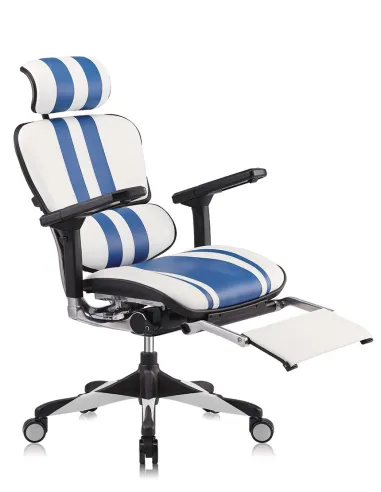 Кресло компьютерное ERGOHUMAN ELITE GAMING MARS (M-EHPE-AB-HAL-MLBL), эргономичное - цена Киев, Харьков, Днепр, Одесса, Львов