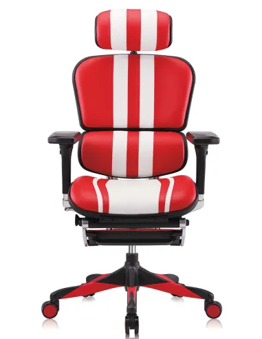 Кресло компьютерное ERGOHUMAN ELITE GAMING MARS (M-EHPE-AB-HAL-MLRE), эргономичное - цена Киев, Харьков, Днепр, Одесса, Львов