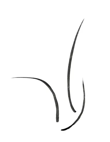 Кресло SITLAND SKATE, эргономичное, для активного сидения - цена Киев, Харьков, Днепр, Одесса, Львов, Запорожье, Винница