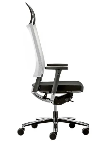 Кресло VAGHI EXPO.15 EX, для руководителя, эргономичное