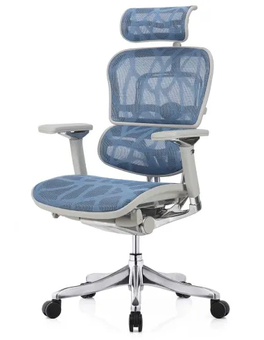 Кресло ERGOHUMAN PLUS LUXURY (EHPL-AG-HAM, ZB5) эргономичное