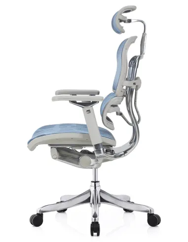 Кресло ERGOHUMAN PLUS LUXURY (EHPL-AG-HAM, ZB5) эргономичное