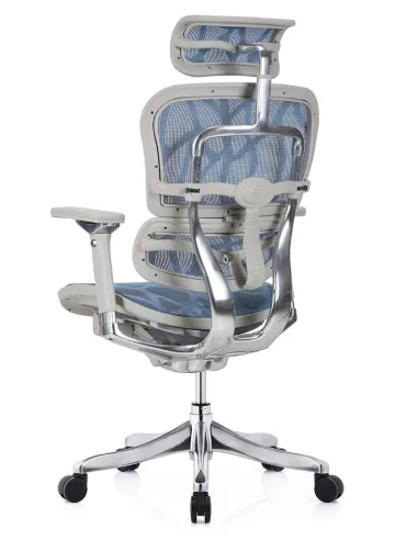 Кресло ERGOHUMAN PLUS LUXURY (EHPL-AG-HAM, ZB5) эргономичное