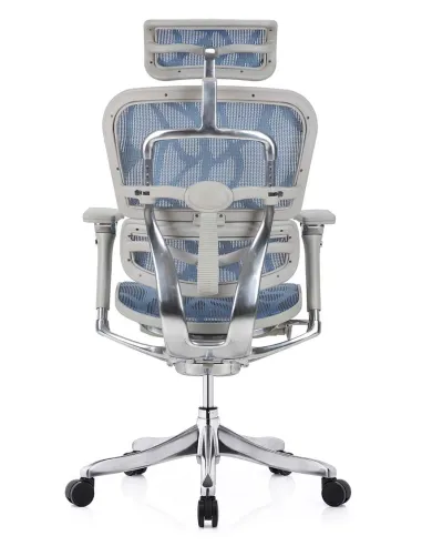 Кресло ERGOHUMAN PLUS LUXURY (EHPL-AG-HAM, ZB5) эргономичное