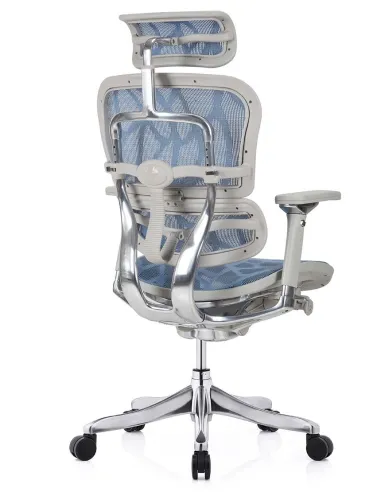 Кресло ERGOHUMAN PLUS LUXURY (EHPL-AG-HAM, ZB5) эргономичное