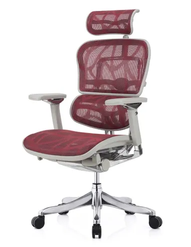 Кресло ERGOHUMAN PLUS LUXURY (EHPL-AG-HAM ZB6) эргономичное