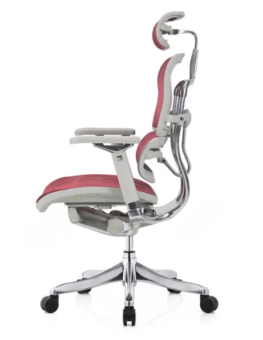 Кресло ERGOHUMAN PLUS LUXURY (EHPL-AG-HAM ZB6) эргономичное