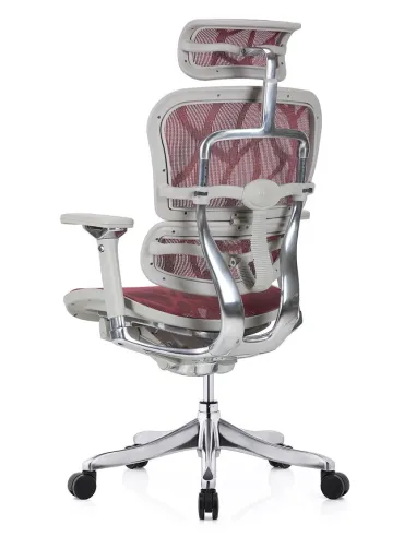 Кресло ERGOHUMAN PLUS LUXURY (EHPL-AG-HAM ZB6) эргономичное