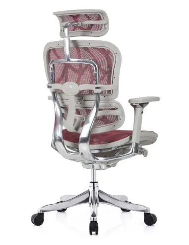 Кресло ERGOHUMAN PLUS LUXURY (EHPL-AG-HAM ZB6) эргономичное