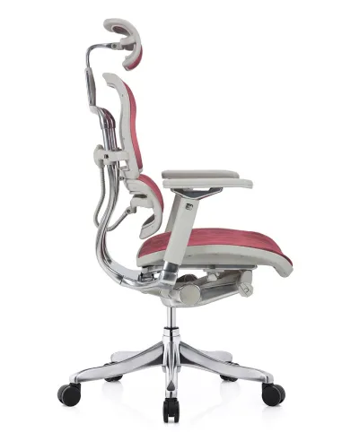 Кресло ERGOHUMAN PLUS LUXURY (EHPL-AG-HAM ZB6) эргономичное