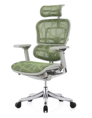 Кресло ERGOHUMAN PLUS LUXURY (EHPL-AG-HAM, ZB3) эргономичное