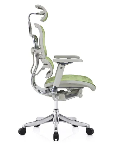 Кресло ERGOHUMAN PLUS LUXURY (EHPL-AG-HAM, ZB3) эргономичное