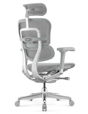 Кресло ERGOHUMAN ELITE 2 (EHE2-AG-HAM-5D-L, сетка T-168-B2 Natural), ергономичное 2