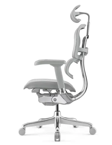 Кресло ERGOHUMAN ELITE 2 (EHE2-AG-HAM-5D-L, сетка T-168-B2 Natural), ергономичное