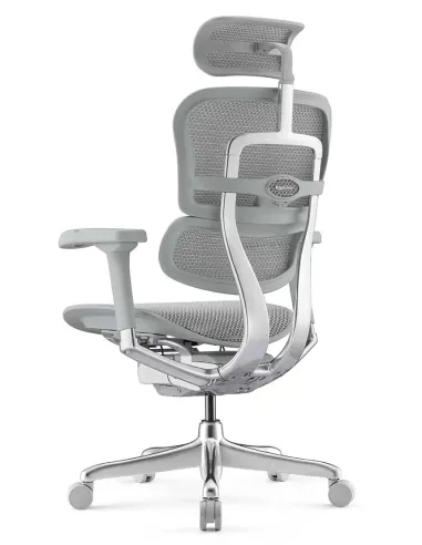 Кресло ERGOHUMAN ELITE 2 (EHE2-AG-HAM-5D-L, сетка T-168-B2 Natural), ергономичное