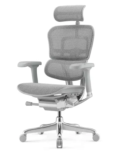 Крісло ERGOHUMAN ELITE 2 (EHE2-AG-HAM-5D-L, сітка T-168-B2 Natural), ергономічне