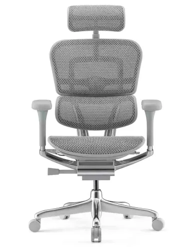 Крісло ERGOHUMAN ELITE 2 (EHE2-AG-HAM-5D-L, сітка T-168-B2 Natural), ергономічне