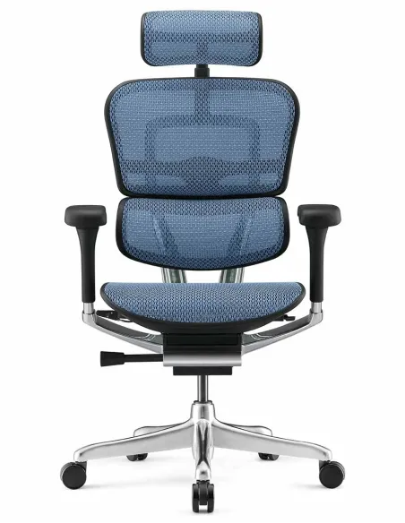 Кресло ERGOHUMAN LUXURY 2 (EHL2-AB-HAM-5D-E-L, сетка Т-168-B4 Cobalt), эргономичное