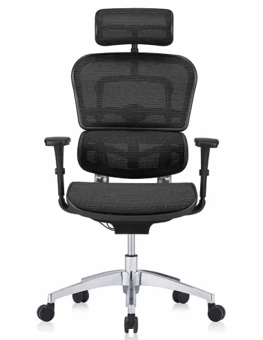 Кресло ERGOHUMAN PROJECT (EHB-WB-HAM), эргономичное, чорная сетка - цена Киев, Харьков, Днепр, Одеса, Львов