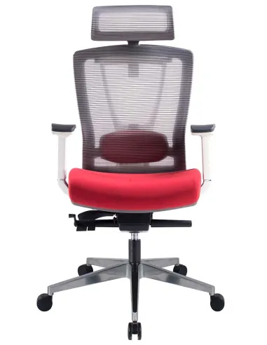 Кресло ERGO CHAIR 2 RED эргономичное - цена Киев, Харьков, Днепр, Одесса