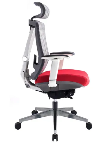 Кресло ERGO CHAIR 2 RED эргономичное - цена Киев, Харьков, Днепр, Одесса
