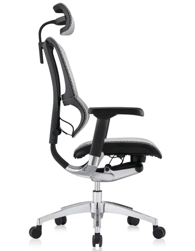 Кресло MIRUS-IOO2 (IOOE2-AB-HAM-5D-L, сетка Т-168-B2 NATURAL), эргономичное - цена Киев, Харьков, Днепр, Одесса, Львов