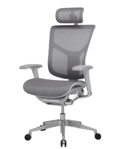 Кресло Expert Star (HSTM01-G) для руководителя, эргономичное - Купить офисное эргономичное кресло. Цена в Киеве, Харькове, Днепр