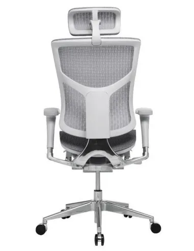 Кресло Expert Star (HSTM01-G) для руководителя, эргономичное - Купить офисное эргономичное кресло. Цена в Киеве, Харькове, Днепр