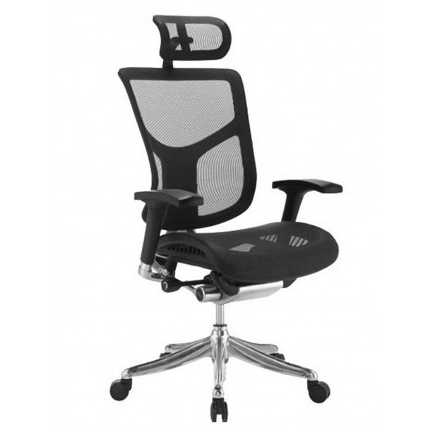 Кресло EXPERT STAR (HSTM01) для руководителя, эргономичное, цвет черный