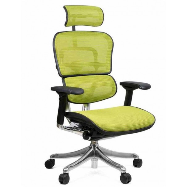 Кресло компьютерное ERGOHUMAN PLUS, эргономичное, зеленого цвета