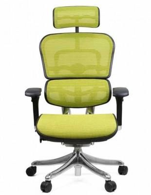 Кресло компьютерное ERGOHUMAN PLUS, эргономичное, зеленого цвета 2