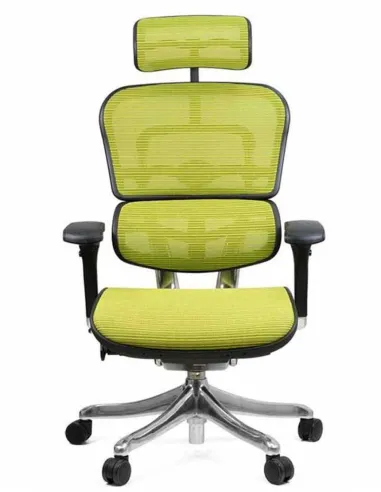 Кресло компьютерное ERGOHUMAN PLUS, эргономичное, зеленого цвета - купить в Киеве, Харькове, Днепре, Одессе