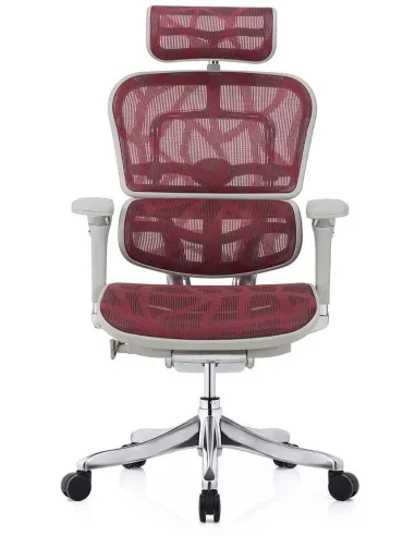 Кресло ERGOHUMAN PLUS LUXURY (EHPL-AG-HAM ZB6) эргономичное