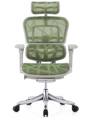 Кресло ERGOHUMAN PLUS LUXURY (EHPL-AG-HAM, ZB3) эргономичное 2