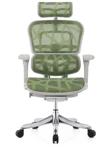 Кресло ERGOHUMAN PLUS LUXURY (EHPL-AG-HAM, ZB3) эргономичное