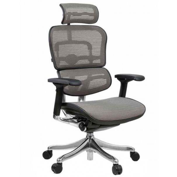 Кресло компьютерное ERGOHUMAN PLUS, эргономичное, серого цвета
