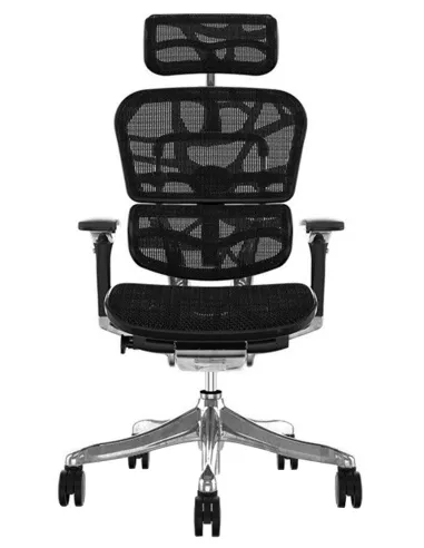 Кресло Ergohuman Plus Luxury (EHPL-AB-HAM) - Купить компьютерное анатомическое кресло для руководителя, черного цвета. Цена в Ки