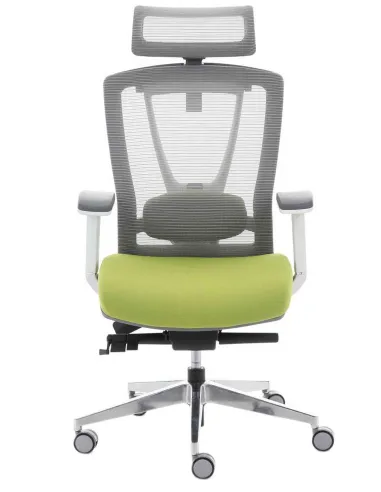Кресло ERGO CHAIR 2 GREEN эргономичное