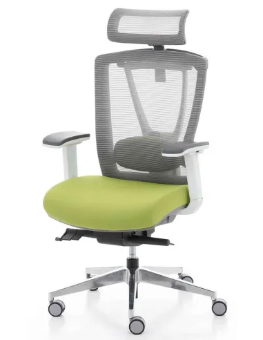 Кресло ERGO CHAIR 2 GREEN эргономичное