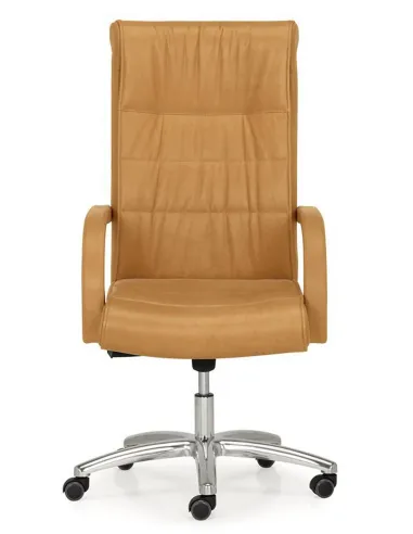 Кресло QUINTI SEDUTE APOLLO - Купить классическое итальянское кожаное кресло для руководителя. Цена в Киеве, Харькове, Днепропет