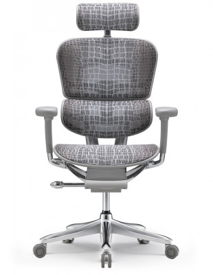 Крісло ERGOHUMAN SE... 2