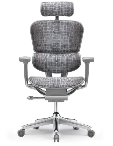 Кресло ERGOHUMAN SE (EHSE-AG-HAM-5D-E-D+LM-CH), эргономичное, серое - цена Киев, Днепр, Одесса, Львов, Харьков