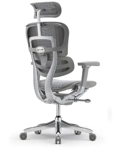 Кресло ERGOHUMAN SE (EHSE-AG-HAM-5D-E-D+LM-CH), эргономичное, серое - цена Киев, Днепр, Одесса, Львов, Харьков