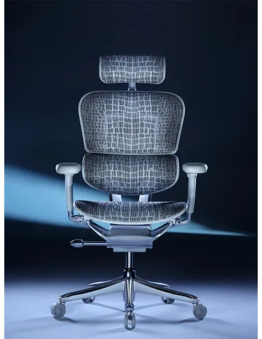 Кресло ERGOHUMAN SE (EHSE-AG-HAM-5D-E-D+LM-CH), эргономичное, серое - цена Киев, Днепр, Одесса, Львов, Харьков