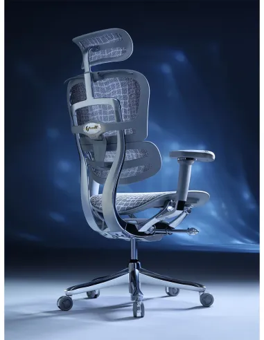 Кресло ERGOHUMAN SE (EHSE-AG-HAM-5D-E-D+LM-CH), эргономичное, серое - цена Киев, Днепр, Одесса, Львов, Харьков