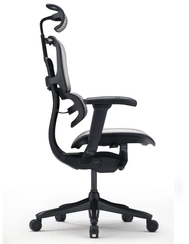 Кресло ERGOHUMAN SE (EHSE-AB-HAM-5D-E-D+LM-CH), эргономичное, черное - цена Киев, Днепр, Одесса, Львов, Харьков