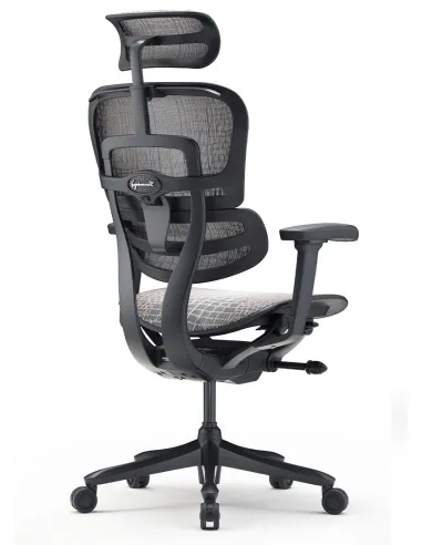 Кресло ERGOHUMAN SE (EHSE-AB-HAM-5D-E-D+LM-CH), эргономичное, черное - цена Киев, Днепр, Одесса, Львов, Харьков